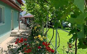 Casa Pestelui Guest House